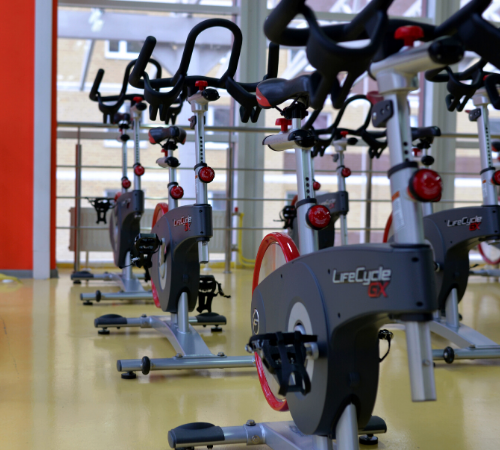 Exercise bikes in rows in gym 